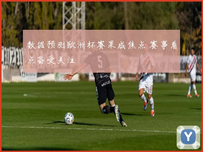 数据预测欧洲杯赛果成焦点 赛事看点备受关注