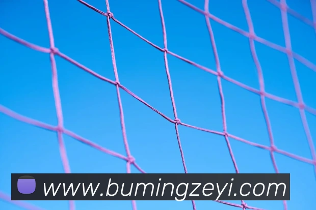 世界杯开户平台品牌故事